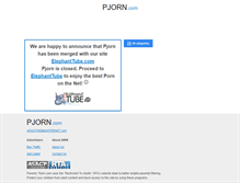 Tablet Screenshot of pjorn.com